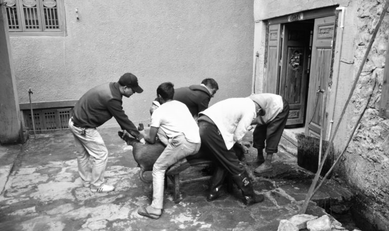 The Participation of Impoverished Peoples in Placebo-Controlled Pharmaceutical Trials: Scientific Innovation or Neocolonial Exploitation?