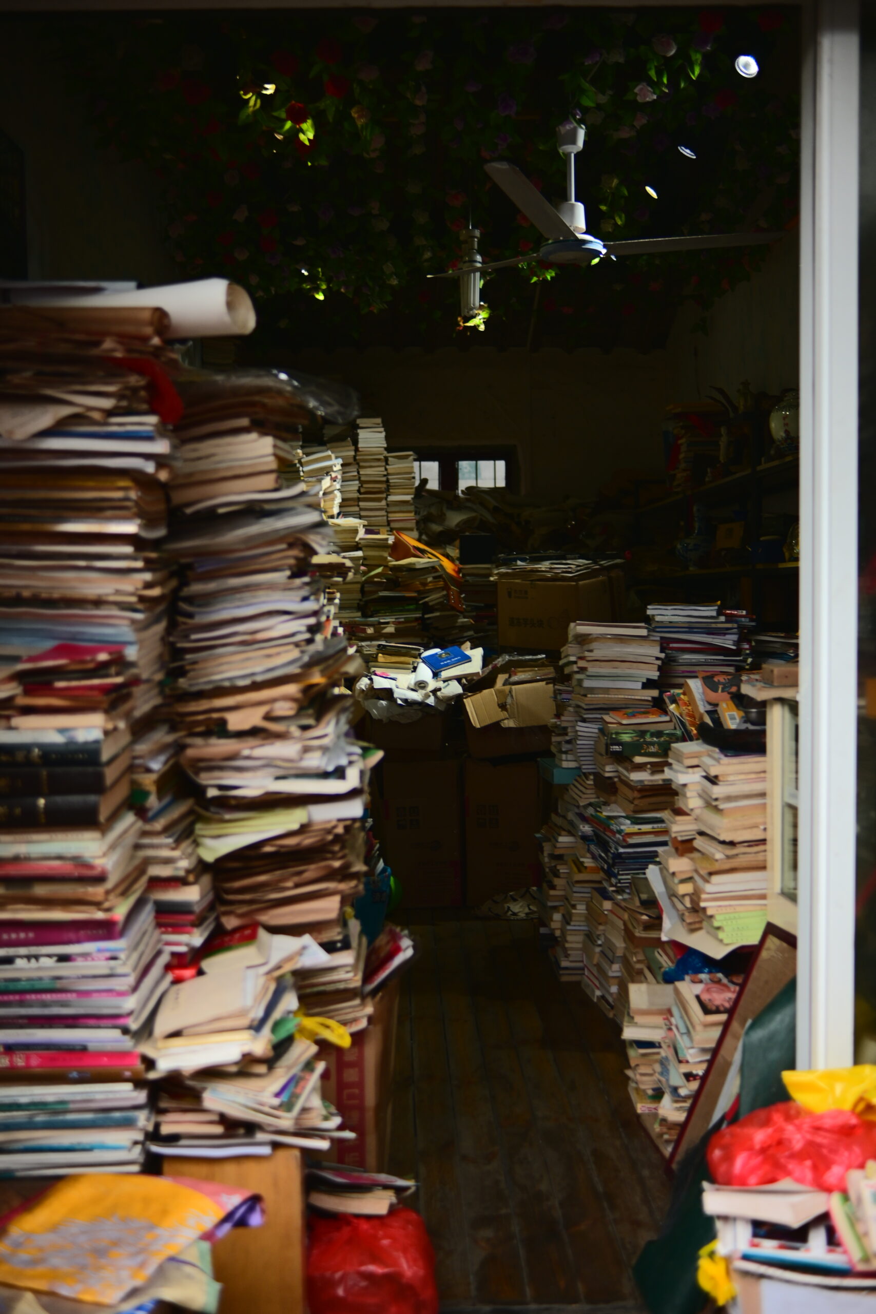 What Protected Early Chinese Poetry from Socratic Criticism?